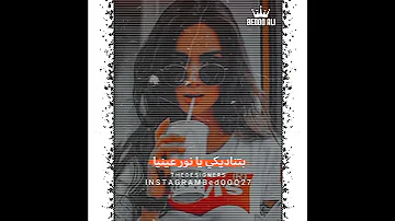 الفنان بيبو هريدي 2021 اجمل حاله واتس اغنيه انتي معلمه 