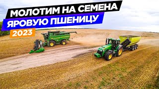 "А кто хозяйство с колен поднимать будет? -Я погорячился..." Было два комбайна и тех разделили...