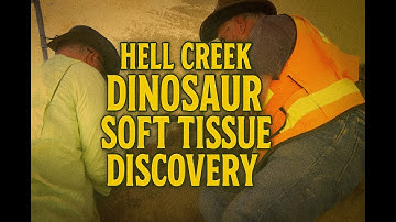 Hell Creek Dinosaur Soft Tissue Discovery | Dino Hunter Clip