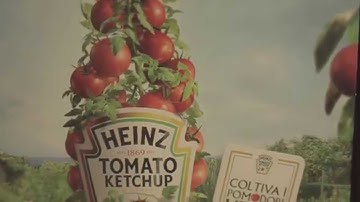 Kraft Heinz Italia - Intern & Trainee Programs