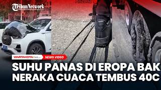 Download lagu Suhu Panas di Eropa Bak Neraka Cuaca Tembus 40C dan Ribuan Orang Meninggal