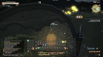 FFXIV ARR : Lv30 Changing of the Guard - Walkthrough