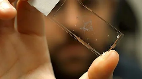 Kipnis Research Lab: How Collaboration Played a Role in Major Discovery