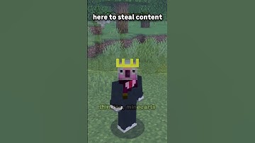 What is the Most Useless Feature in Minecraft?