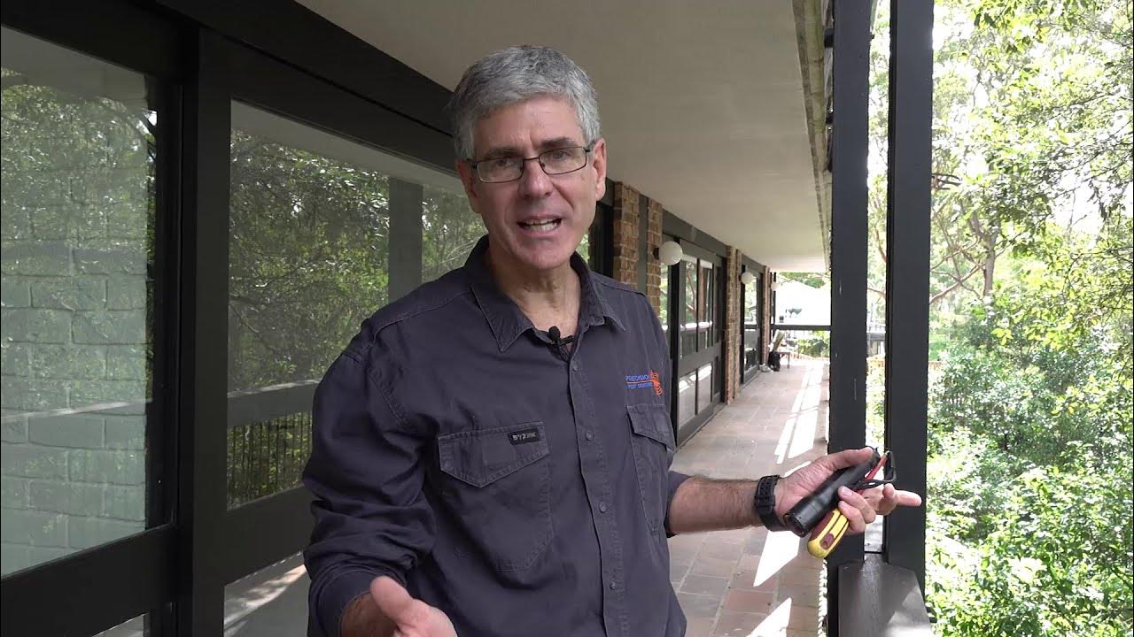 do-cardboard-boxes-attract-termites-youtube