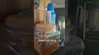 They eat bugs so we cool, but leave my honey alooooone 😫