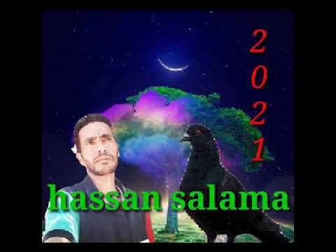 hassan salama (2021)