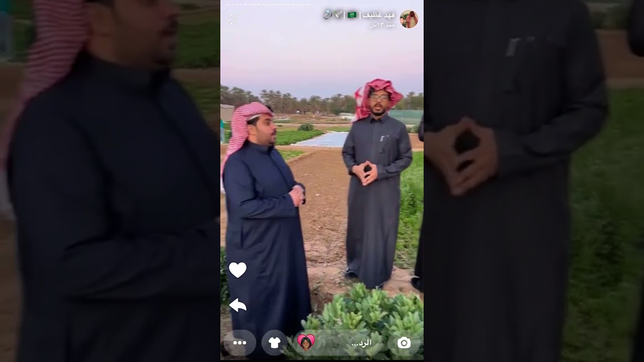 سنابات فهد غضيف٣١ يناير، ٢٠٢٥