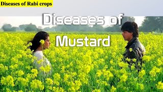 Mustard diseases and Management | सरसों की बीमारियां एवं प्रबंधन