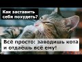 Смешные котики: ответы пушистых на человеческие вопросы с юмором