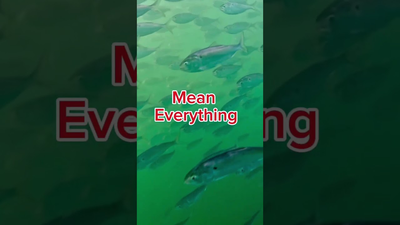 Look who came ti dinner 