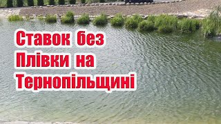 Ставок без плівки на Тернопільщині