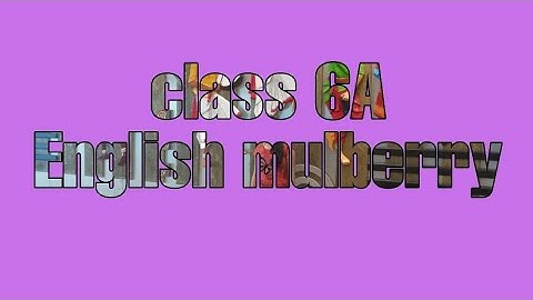 class 6A English mulberry Chapter 2 The Cherry Tree video 3