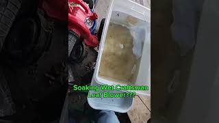 Shocking Destruction When Mixing Water & Electricity with Craftsman Leaf Blower 114-9957  Blow it Up @Kelly-Belly