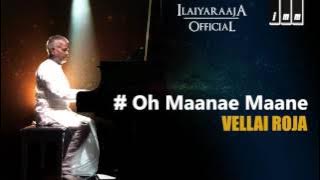 Vellai Roja | Oh Maanae Maana | Ilaiyaraaja | SPB |  Shivaji Ganeshan, Prabhu