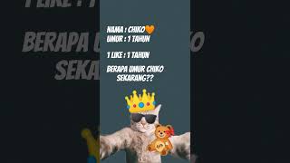 absen kucing lagi yukk!! Milo, Taro, Chiko, ???