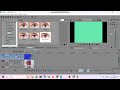 How To Make My Crying Effect On Sony Vegas Pro