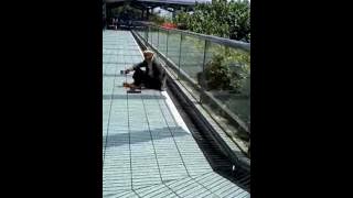 SEBUAH JANJI -  EVIE TAMALA