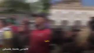 مظهارات كل ادول اضد اسرائيل و امريكه القدس عاصمة فلسطين  القدس النا