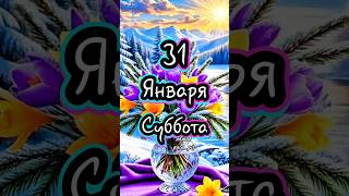 Доброе Утро