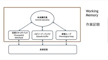 Working Memory in Applied Linguistics