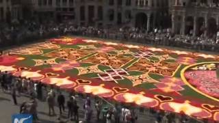 Brussels Flower Carpet named best flora event of 2014