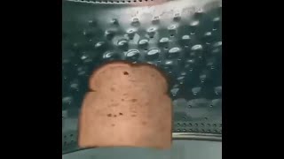 Shitpost status V26 (TOAST BREAD)