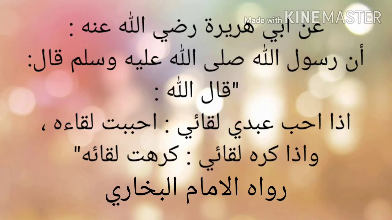 حديث عن ابي هريرة مع الراوي