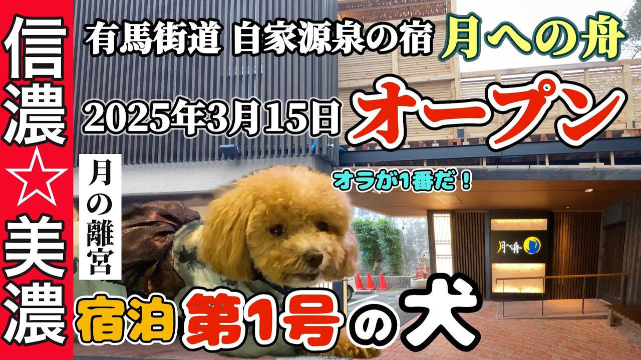2025年3月15日オープン【月への舟】信濃と美濃(信濃)宿泊第1号の犬