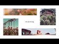Lana Del Rey Swan Song Extended Version Lana Del Rey Swan Song Extended Version