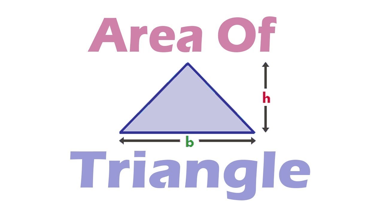 How To Calculate Area of Triangle - YouTube