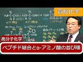 アミノ酸の配列　ペプチド結合　ジペプチド　トリペプチド　アミノ酸　高分子化学　高校化学　エンジョイケミストリー　151304