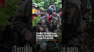 El Eln Anunció Un Paro Armado De 72 Horas En Colombia A Partir Del 14 De Diciembre. Esto Se Sabe