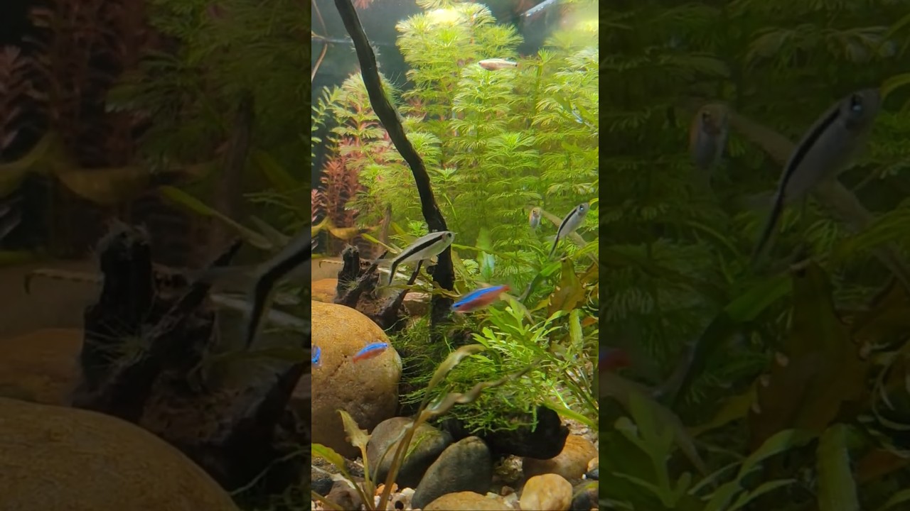 My cozy Place , 😚 