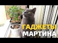 ГАДЖЕТЫ И ИГРУШКИ ДЛЯ КОТА . Чем кормим БРИТАНЦА? Поилка xiaomi и миска petkit