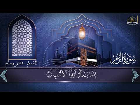 سورة الزمر الجزء الأول للشيخ عنتر مسلم 
