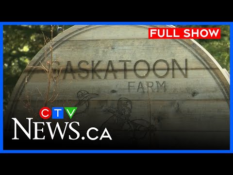 Saskatoon Farm Outbreak CTV News Calgary At Five For July 25 2025