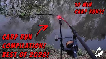 CARP RUN COMPILATION! BEST OF 2020! PART 3!