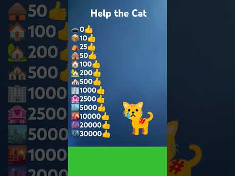 HELP THE CAT😿11