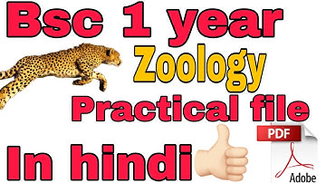 Bsc 1 year zoology practical file in hindi  (with pdf )