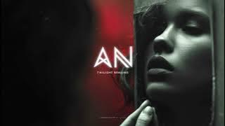 Aurora Night - Twilight Remains