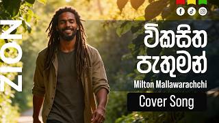 Download lagu විකසිත පැතුමන් (Vikasitha Pathuman) | Sinhala Reggae Cover – Mr. Milton Mallawarachchi | Zion
