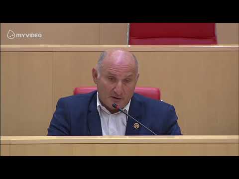 იგნორი და თრომბი ნიკა გვარამიასგან