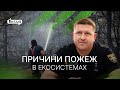 Про причини пожеж у Миколаївській області | 1kr.ua