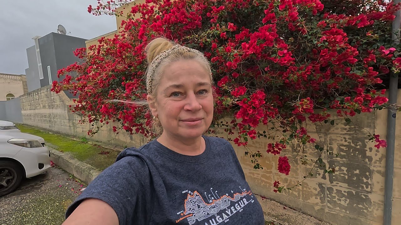 Podglądam cudze ogródki czyli listopad na Malcie 🌴🌸