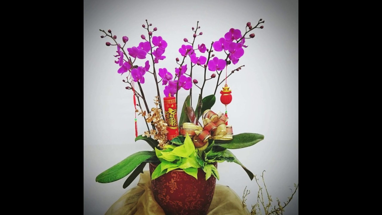 台北花店 綠的花屋 春節花藝 Youtube 台北花店 綠的花屋 春節花藝 Youtube