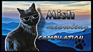 ★Mish Miaowing Compilation★