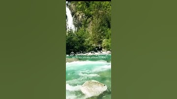 سورة الرحمن بصوت ياسر الدوسري #قران_كريم #راحة_نفسية #ياسر_الدوسري #اسلام