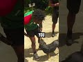 IShowSpeed Actually Met The Cutest Dog In Dominica! 🇩🇲❤️