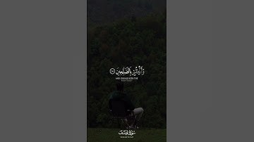 توفني مسلما والحقني بالصالحين 🤍 ｜ سورة يوسف ｜ القارئ محمد هشام ｜ قرآن كريم